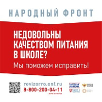 Народный ревизорро.